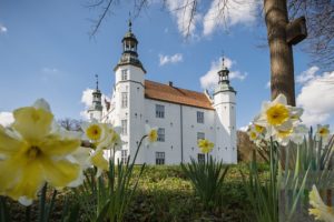 Strahlend weiÃ leuchtet das Ahrensburger Schloss im Licht der Frühlingssonne. Im Vordergrund blühen Narzissen