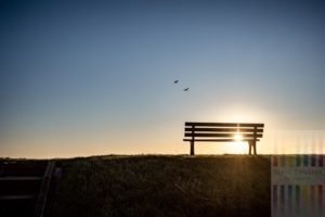 Sitzbank auf der Deichkrone am Wattenmeer in Keitum/Sylt. Zwei Wildgänse fliegen durch die Sonnenuntergangsszene zu ihrem Schlafplatz